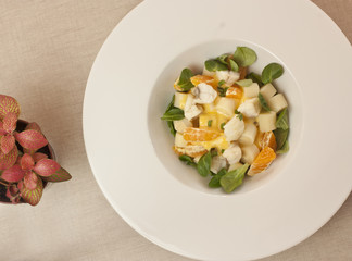 Creative salad of white fish with tangerines, with potted plant