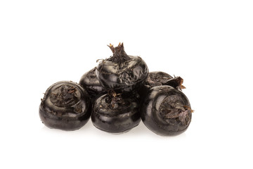 Ground chesnut on white background