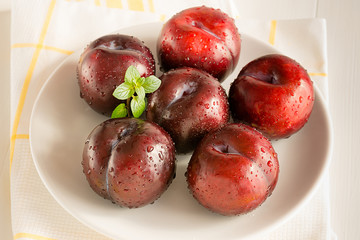 Rote Pflaumen liegen auf einem Teller