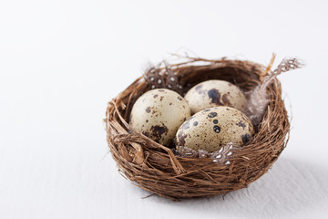 Naklejka na ściany i meble Quail eggs in a nest with feathers on a bright background for Easter with copy space