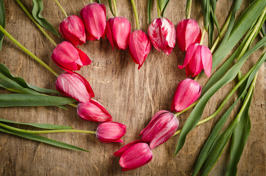 The heart-shaped frame of fresh tulips is laying on an old rusti