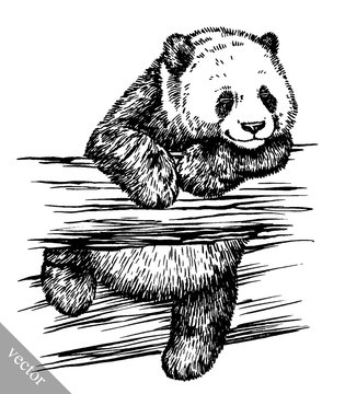 engrave ink draw panda illustration