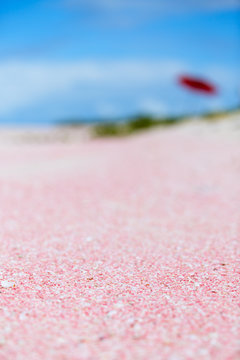 Barbuda Pink Sand Beach