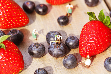 Miniature farmers harvesting berries