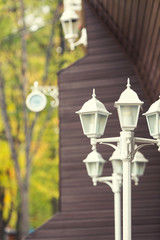 white streetlight in park