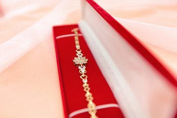 bracelet in red carrying case