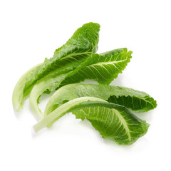 Cos Lettuce Isolated on White Background