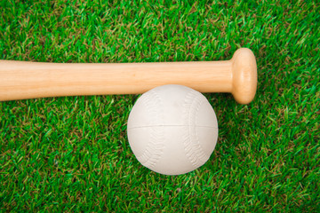 Baseball bat on the grass
