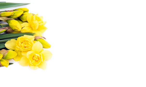 Ostern mit Narzissen