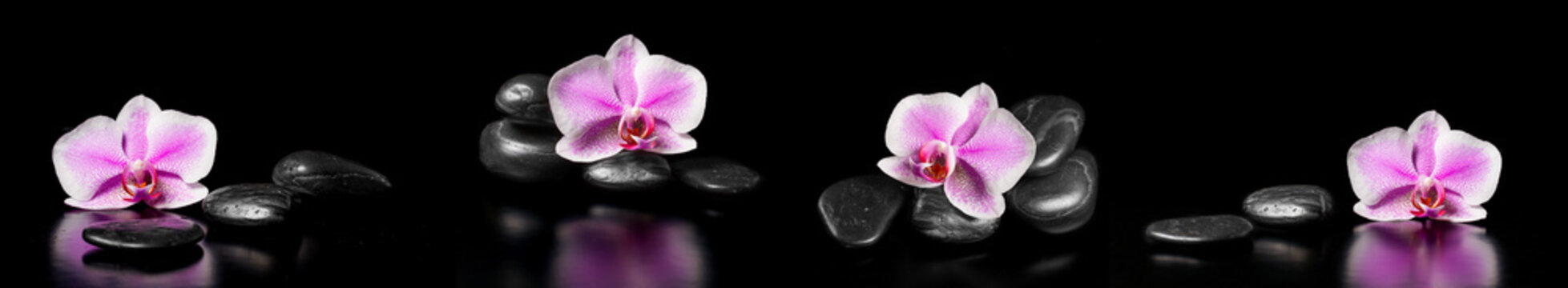 Fototapeta Horizontal panorama with pink orchids and zen stones on black ba