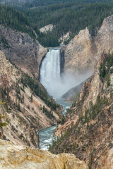 the Lower Falls of the Yellowstone River in Wyoming