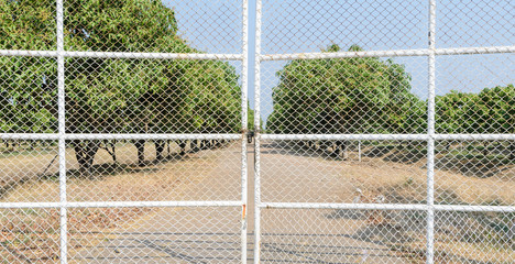 White metal gate and mango fruit farm view in background
