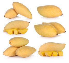 set of mango on white background