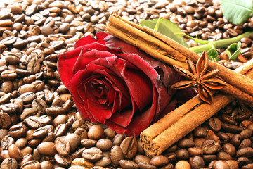 Rote Rose mit Zimt und Anis auf Kaffeebohnen