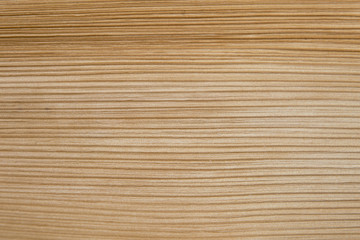 Natural texture of palm leaf background