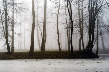 Białystok - Park Lubomirskich © podlaski49