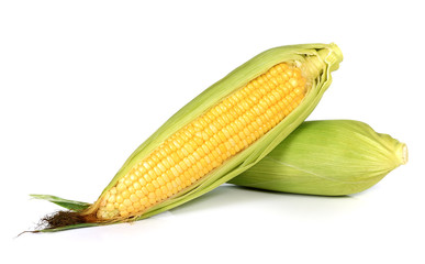 Corn on white background