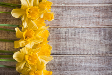 Daffodils on wooden background from above, copy space