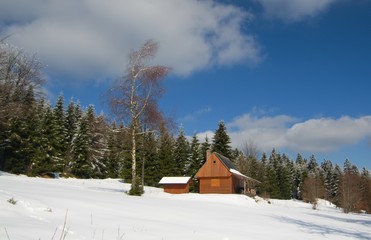 Cottage in mountains