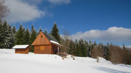 Cottage in mountains