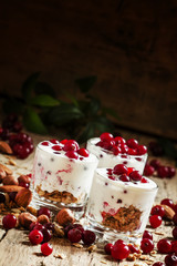 Healthy breakfast with baked wheat flakes, yogurt, cranberries a