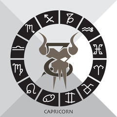 zodiac signs Capricorn