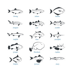 Seafood icons. Fish icons