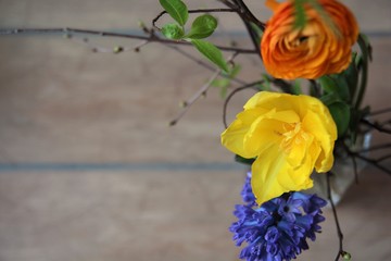 Spring bunch with fresh blue hyacinth, yellow tulip, orange ranunculus flowers on wooden background