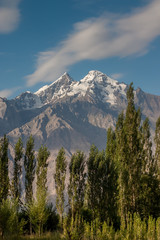Fototapeta premium Scenic view in nubra valley