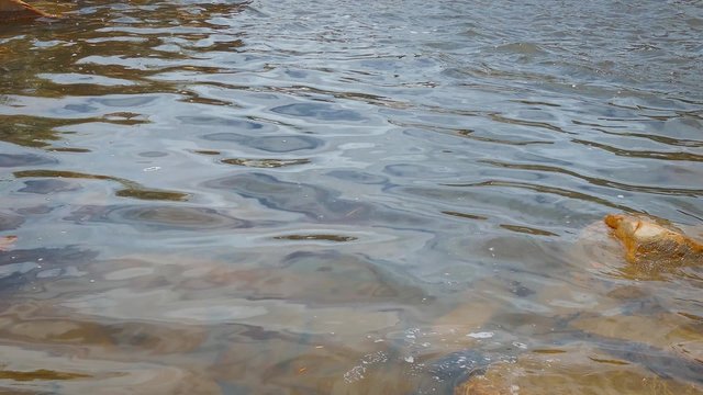 Chirimata Waterfalls or Salto Chirimata at Gran Sabana, Venezuela. Serra do Sol mountain, Brazil, in the background and near Roraima Mount.