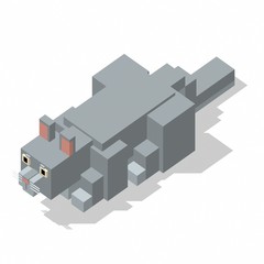 isometric rectangle design cat sleeping