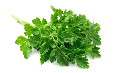 Parsley herbs