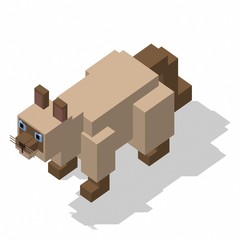 isometric rectangle design cat standing