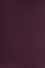 Brown leather texture