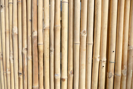 Schilfrohrmatte-Bilder: Stock-Fotos & -Videos. | Adobe Stock