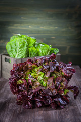 Assorted lettuce on wooden table