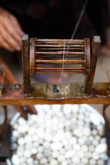 spinning silk form cocoon 