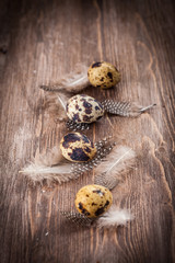 Easter eggs with nest