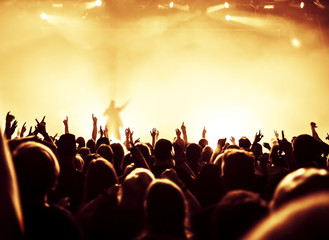 Fototapeta na wymiar cheering crowd at a rock concert