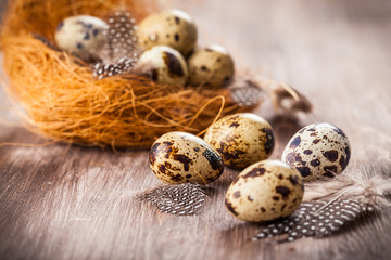 Obraz premium Easter eggs with nest