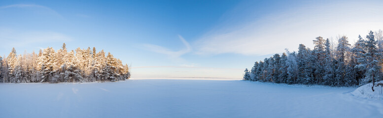 Frozen lake and snow covered forest