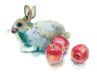 Naklejka premium Watercolor painting. Rabbit with apples on a white background.