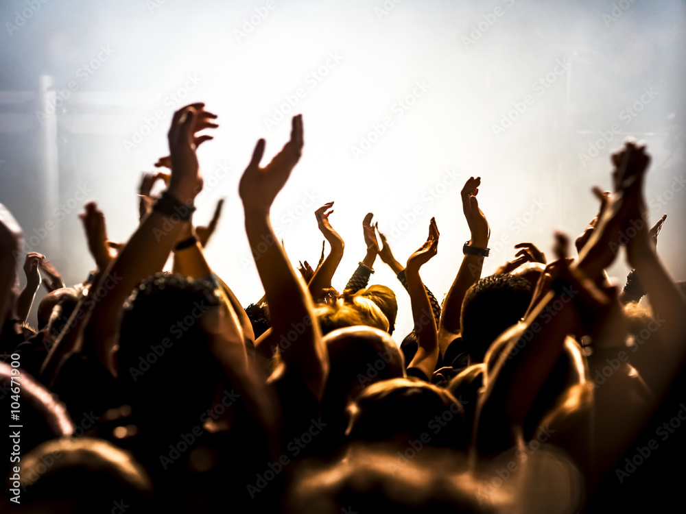 Wall mural cheering crowd at a rock concert