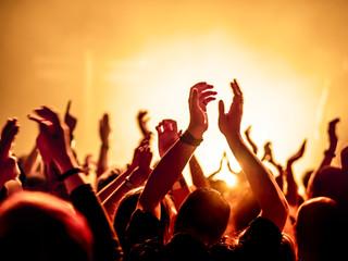 cheering crowd at a rock concert