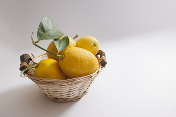 Lemons overflowing in basket