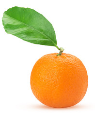tangerine or mandarin fruit with green leaf