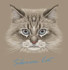 Vector Illustrative Portrait of Siberian Cat