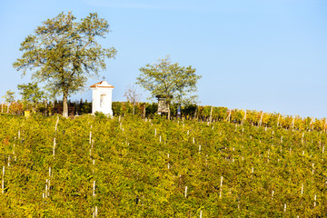 God's torture with autumnal vineyard, Modre Hory, Southern Mora
