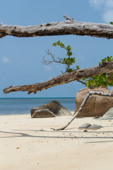 Deserted beach on Seychelles islands