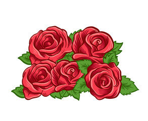 Beautiful rose. Vector illustration